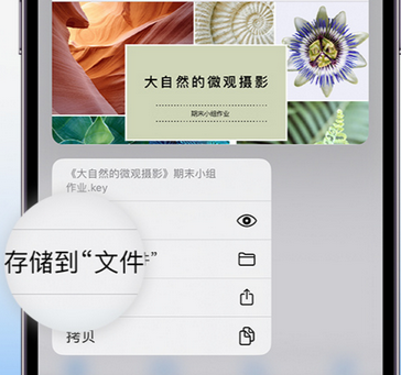 灯塔apple维修中心分享iPhone文件应用中存储和找到下载文件