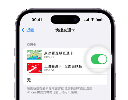 灯塔apple维修点分享iPhone上更换Apple Pay快捷交通卡手绘卡面 