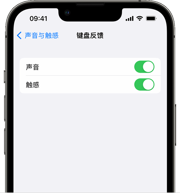 灯塔苹果14维修店分享如何在 iPhone 14 机型中使用触感键盘 