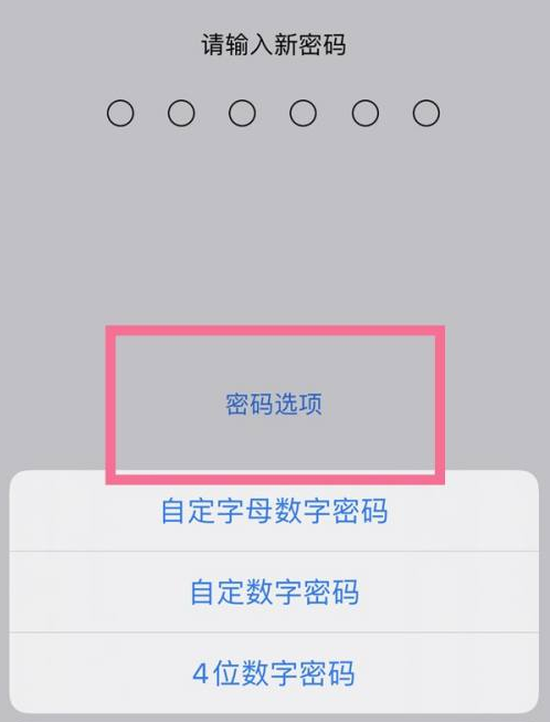 灯塔苹果14维修分享iPhone 14plus设置密码的方法 