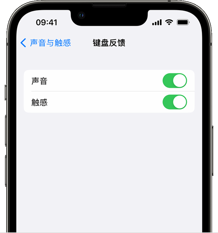 灯塔苹果14维修分享iPhone 14 系列机型如何开启键盘声音或触感反馈 