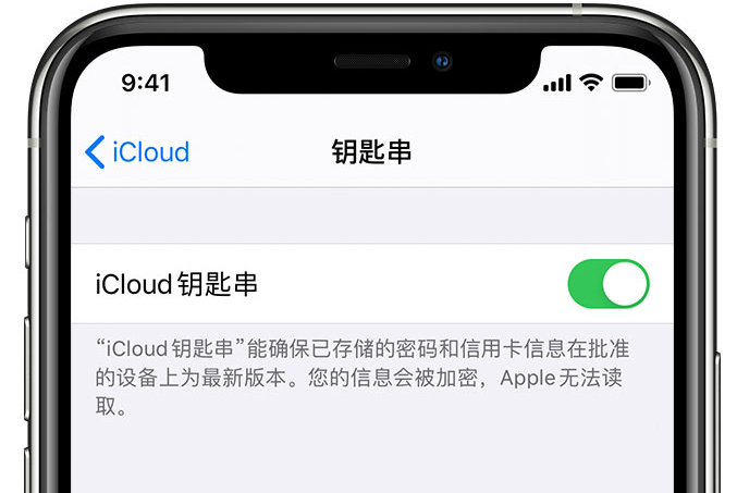 灯塔苹果手机维修分享在 iPhone 上开启 iCloud 钥匙串之后会储存哪些信息 