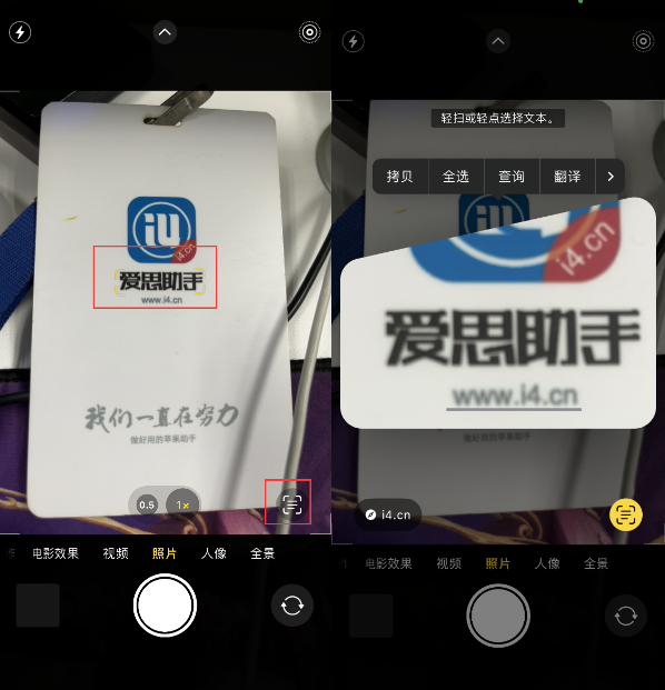 灯塔苹果手机维修分享升级iOS 16后如何通过相机翻译文本 