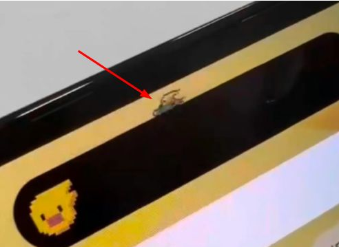 灯塔苹果14维修分享iPhone 14 Pro Max灵动岛怎么养宠物 