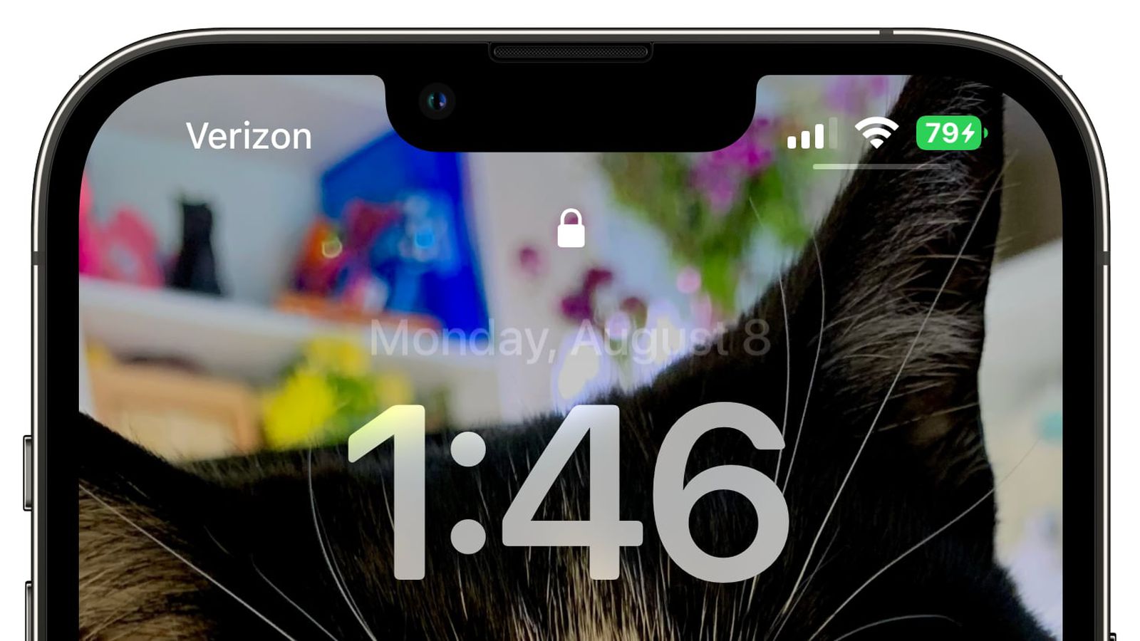 灯塔苹果手机维修分享iOS 16 beta 5 支持状态栏显示电池百分比，如何开启？支持哪些机型 