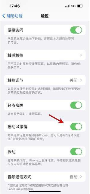 灯塔苹果手机维修分享iPhone手机如何设置摇一摇删除文字 