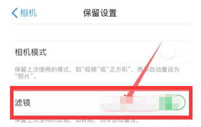 灯塔苹果13维修分享iPhone13拍照有绿点是怎么回事 