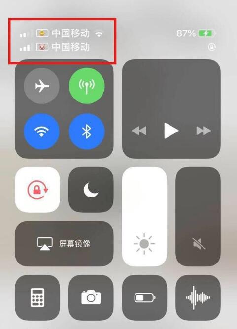 灯塔苹果手机维修分享为 iPhone 12 双卡设置标签 