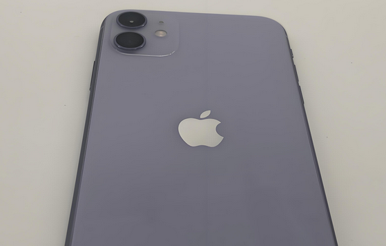灯塔苹果11系统维修分享iPhone11手机系统崩溃无法开机如何解决 