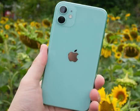 灯塔苹果维修点分享iPhone 11锁屏密码认知与使用科普 