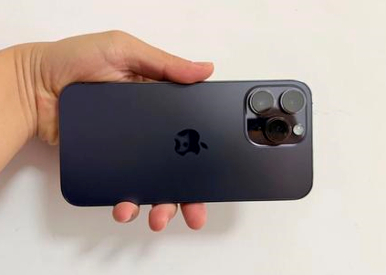 灯塔苹果维修点分享iPhone 14 Pro Max黑屏少见故障盘点 